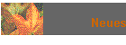 Neues